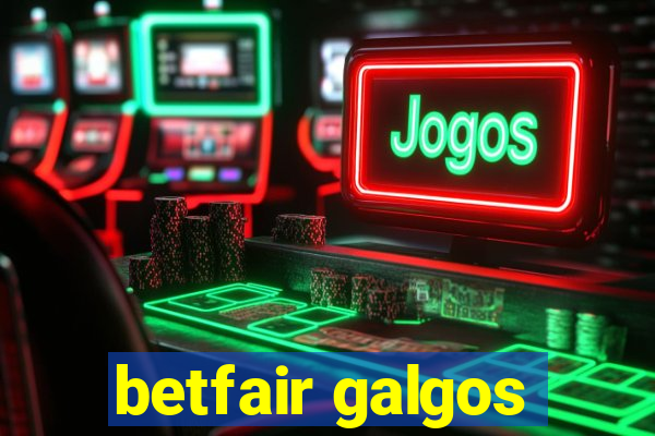 betfair galgos